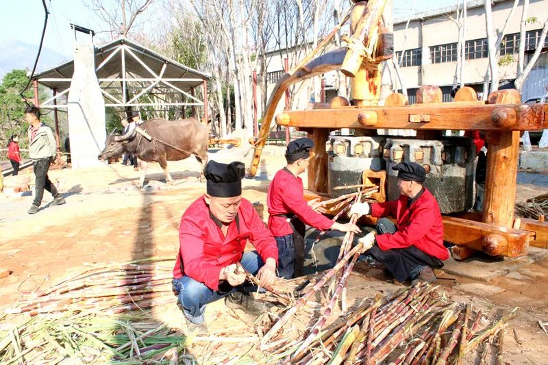 说明: 图片